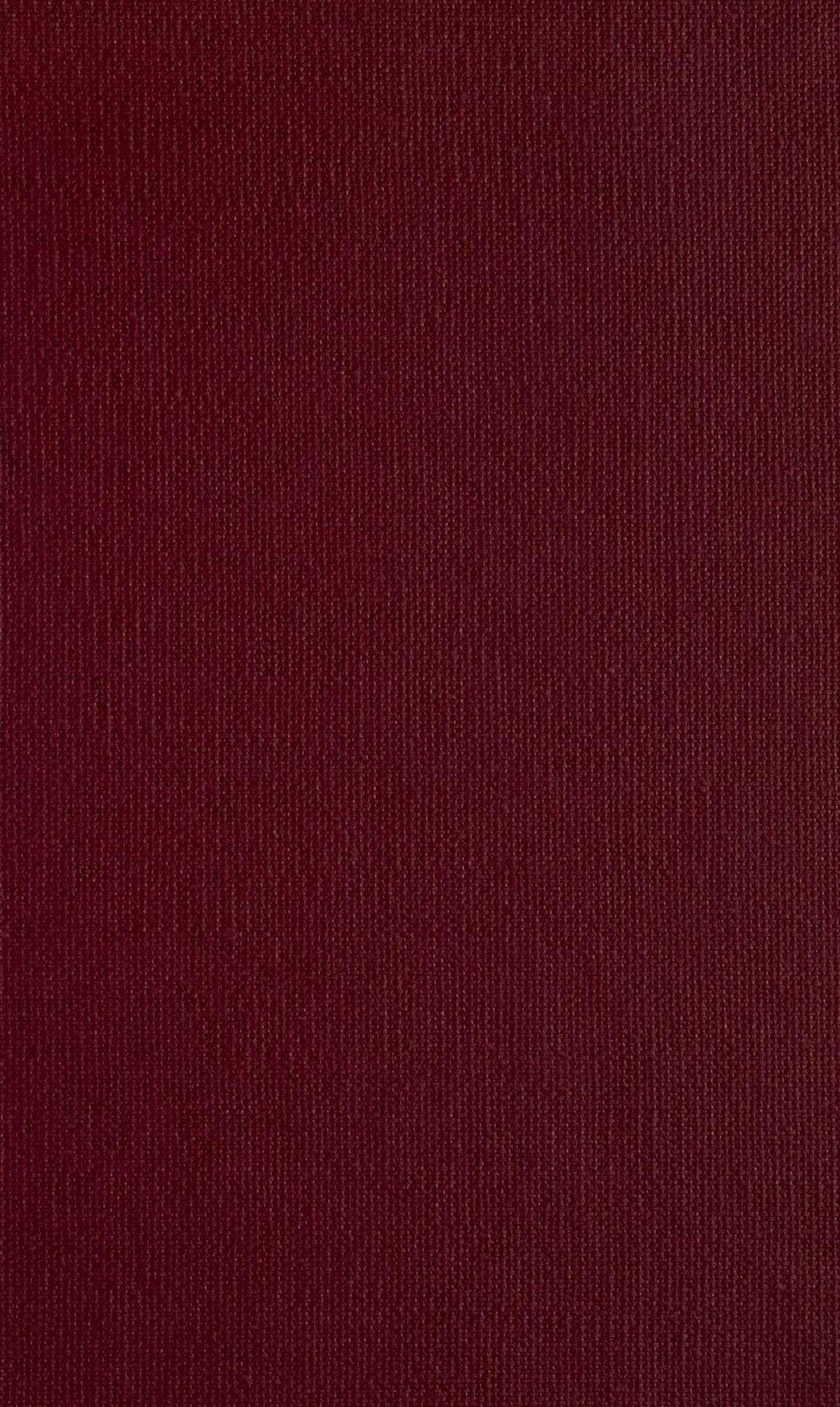 Dog resting calmly on a bed after a storm has passed