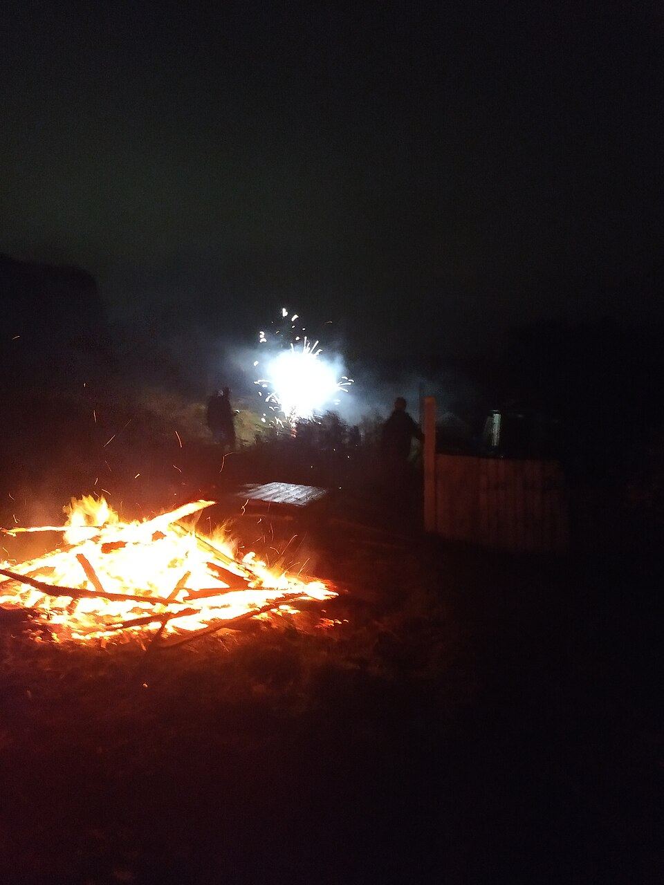New Year's Eve Fireworks: Preparing Your Dog and Cat Three Weeks Ahead