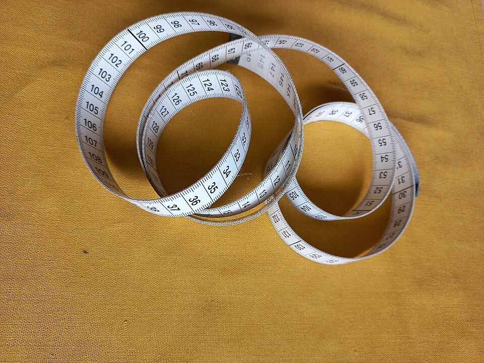 Checking the fit of a collar on a pet at home