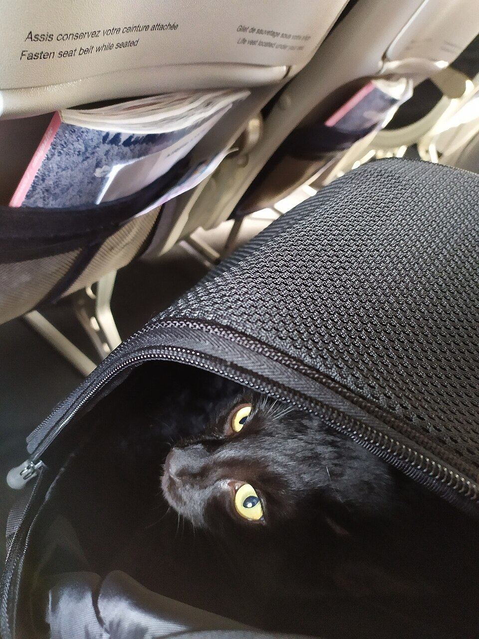 A pet carrier with a towel draped over it in a quiet room