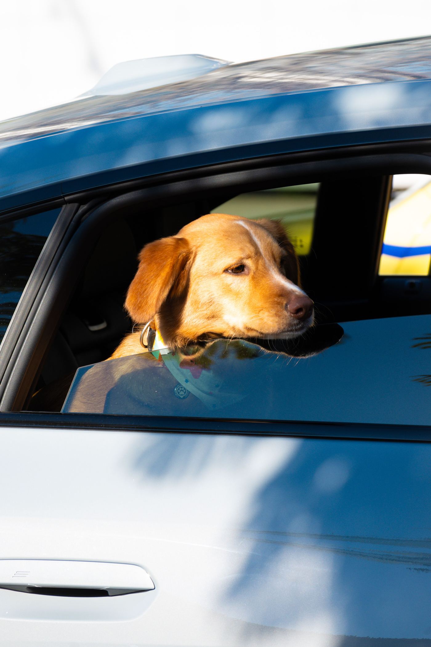Bumper Flap and Side Walls: Protecting More Than the Boot Floor