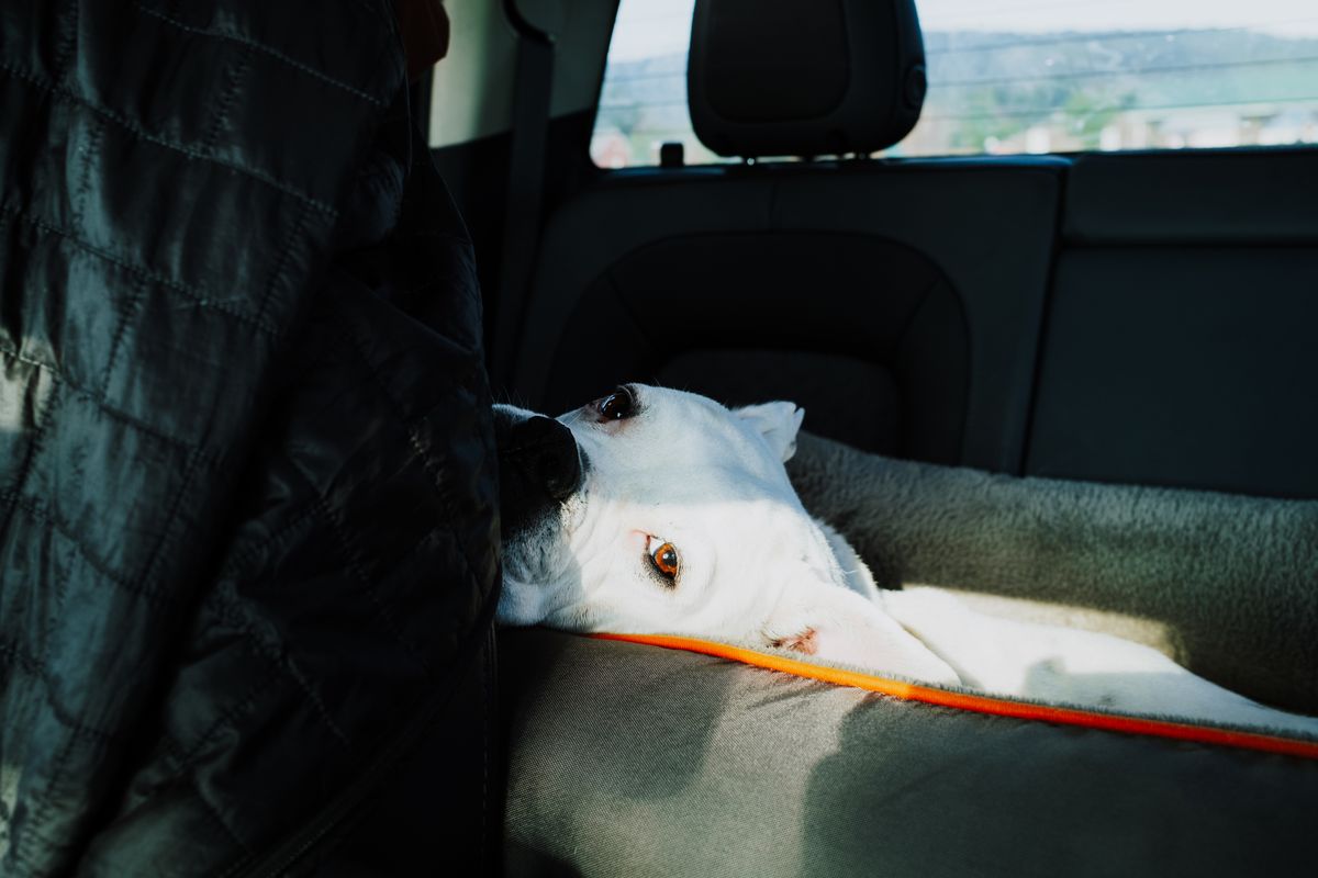 The Build-Up Season Test: Humidity, Red Dust and a Back Seat That Cleans Up