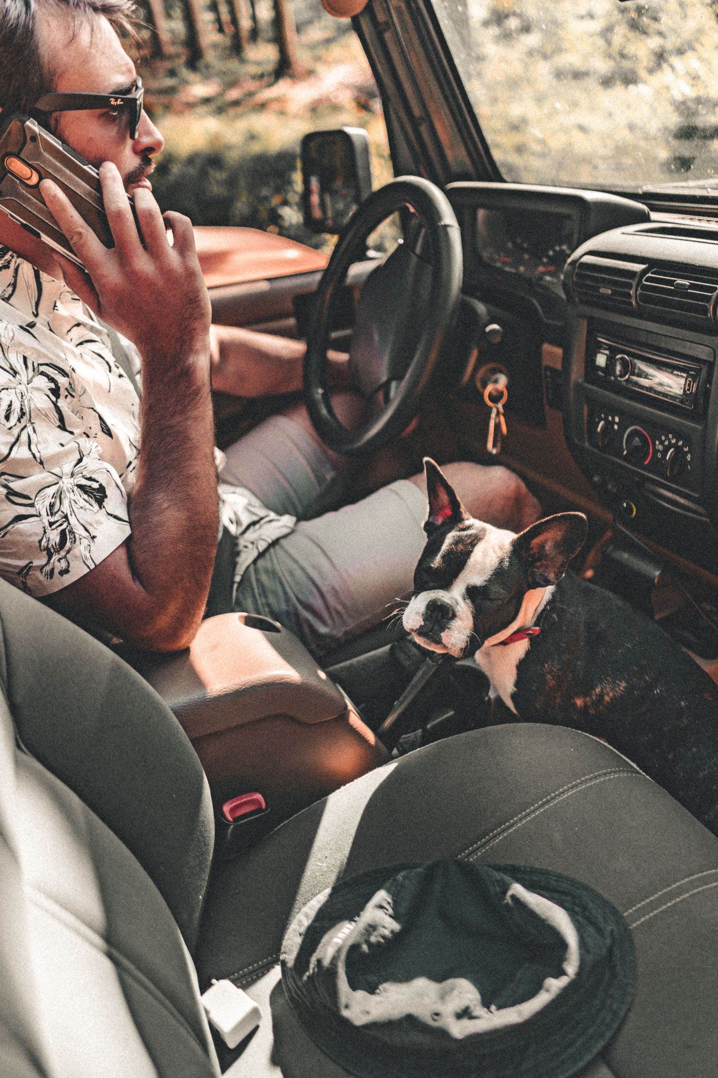 Small Dog and Front-Seat Covers: Safe Ways to Travel Little Pets