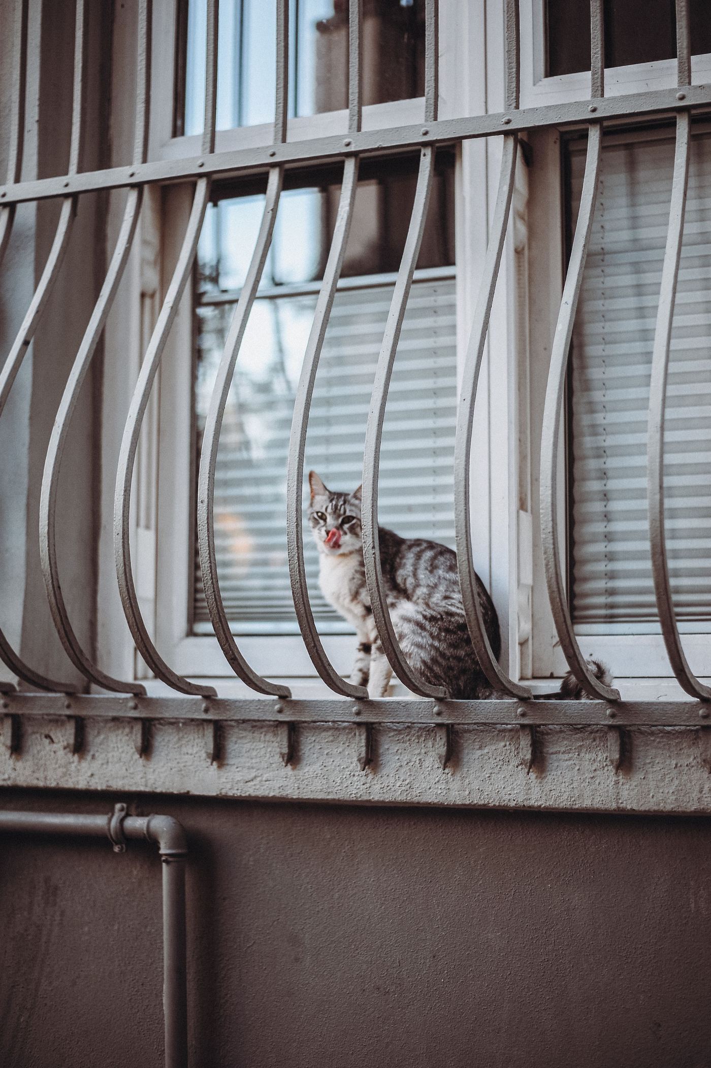 Breathable & Washable Cat Window Perches for Aussie Summers