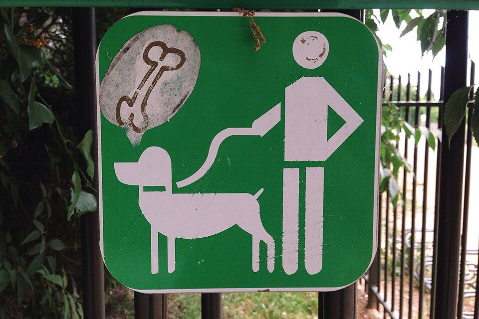 A dog lead handle with a built-in poop bag holder dispenser