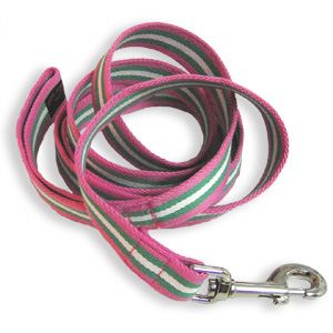 A Total Beginner's Guide to Buying a Dog Harness in Australia