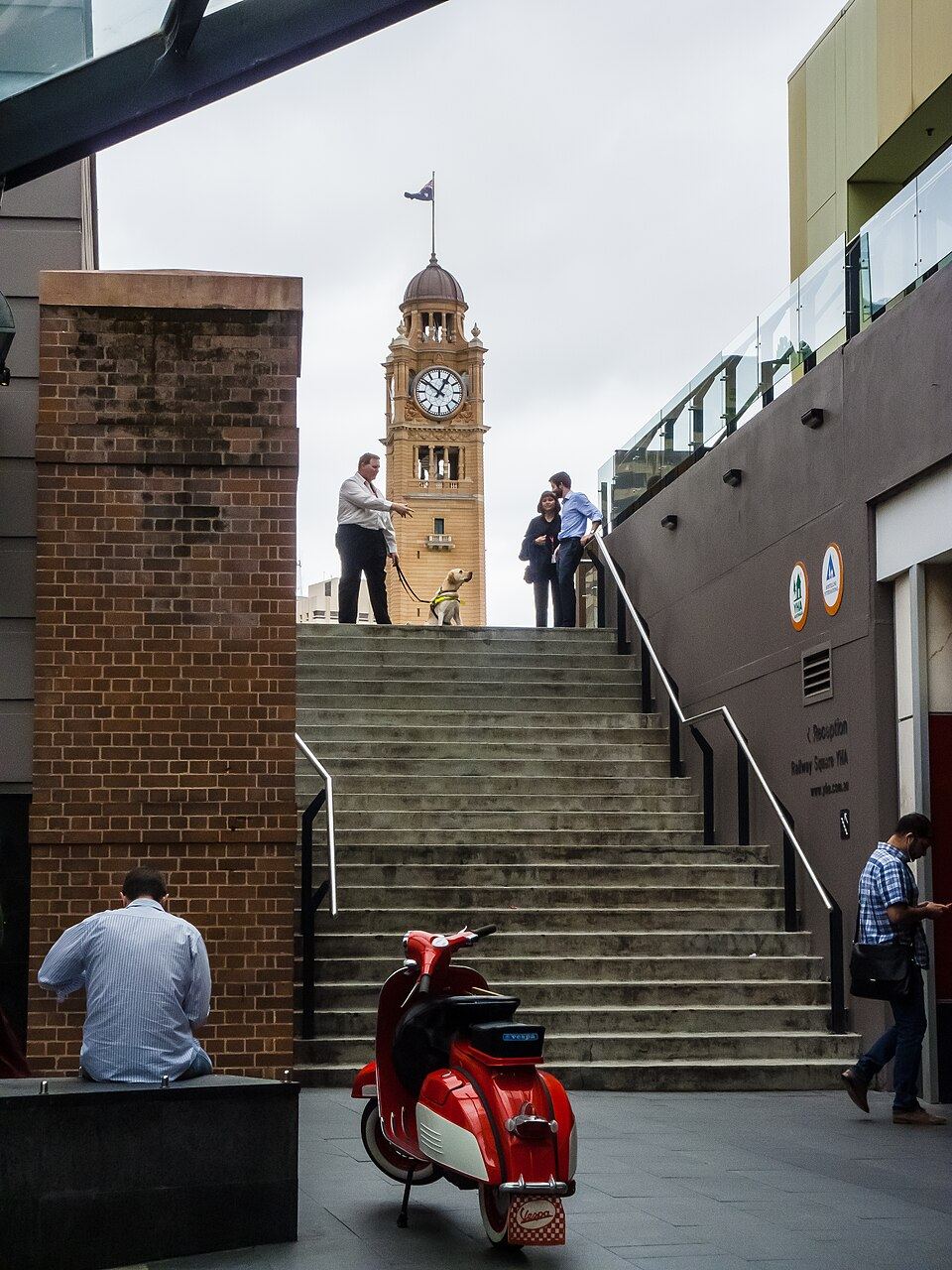 Australian Leash Laws Had Me Totally Confused — Here's What Each Council Expects