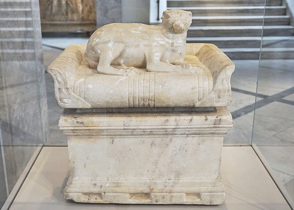 An elderly dog resting on a blanket indoors