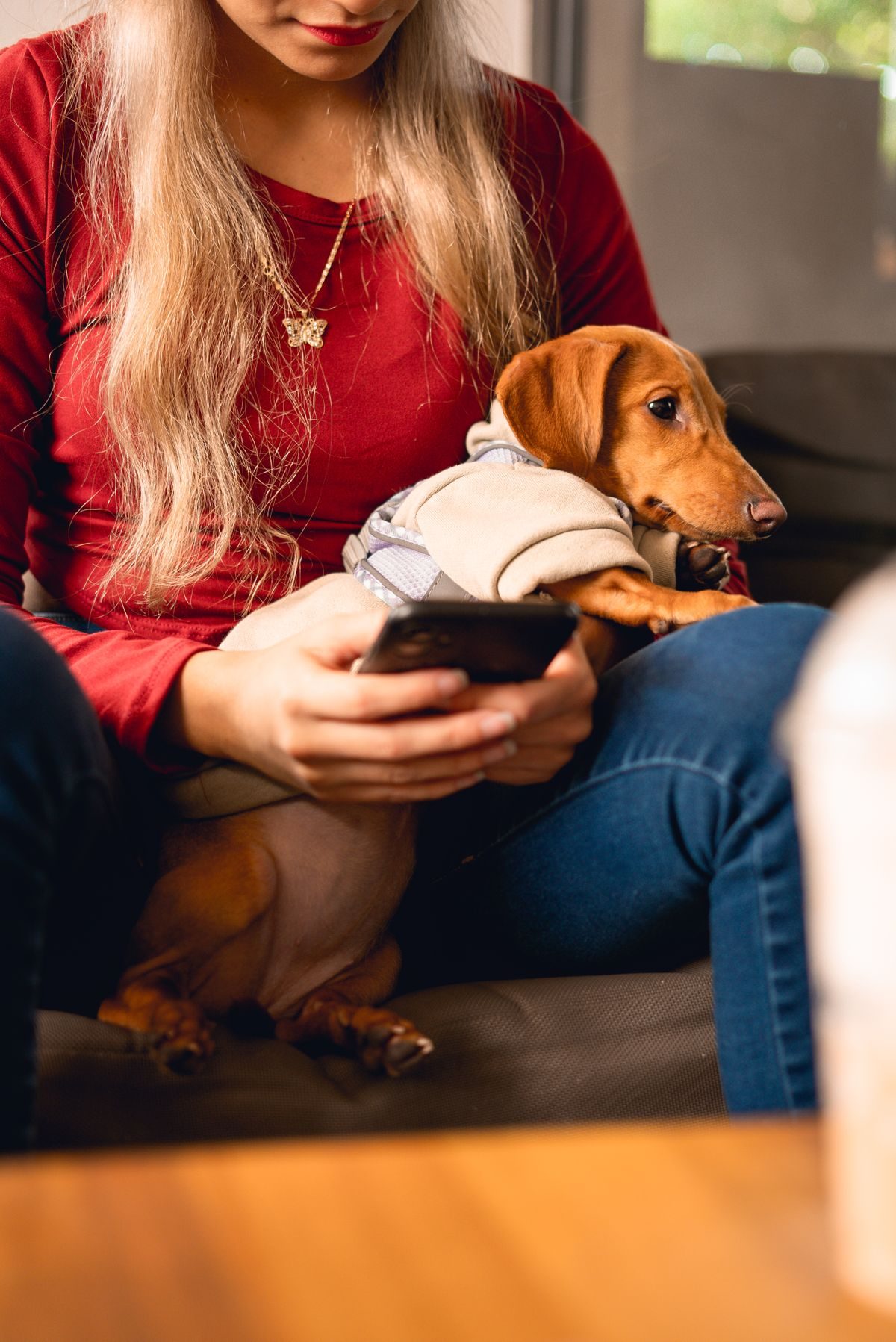 A woman holding a dachshund wearing a coat.
