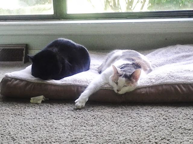 Beds & Mats
