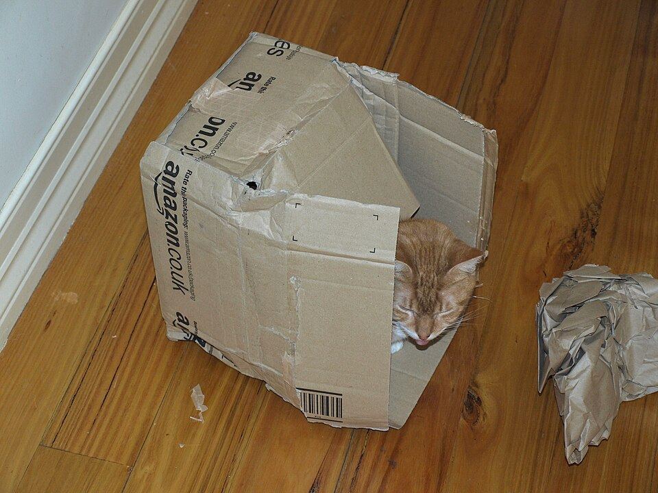 A semi enclosed cat bed with a wide front opening