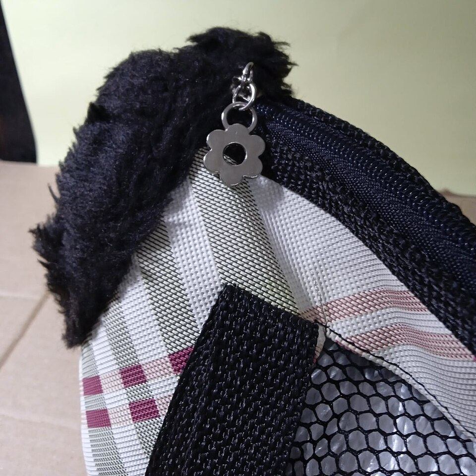 Close-up of a rigid base board and internal tether clip inside a pet backpack
