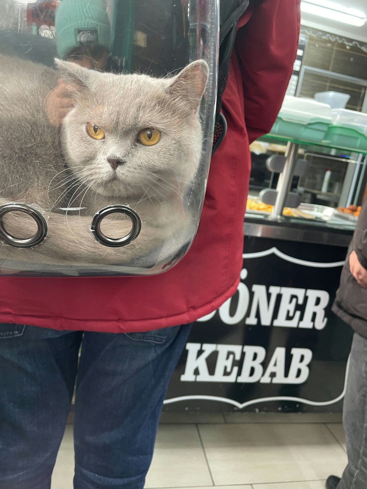 A basic bubble-window cat backpack on a store shelf