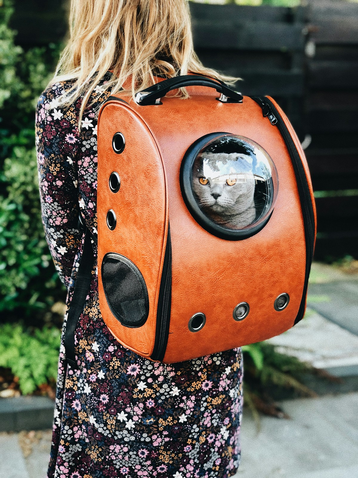 A sturdy soft-sided pet carrier in an outdoor setting