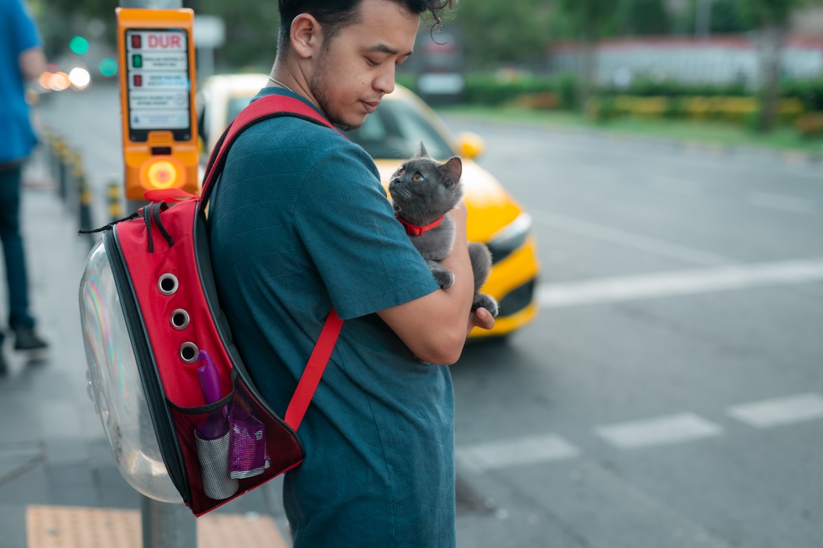 A cat backpack shaded with a light cover on a warm day