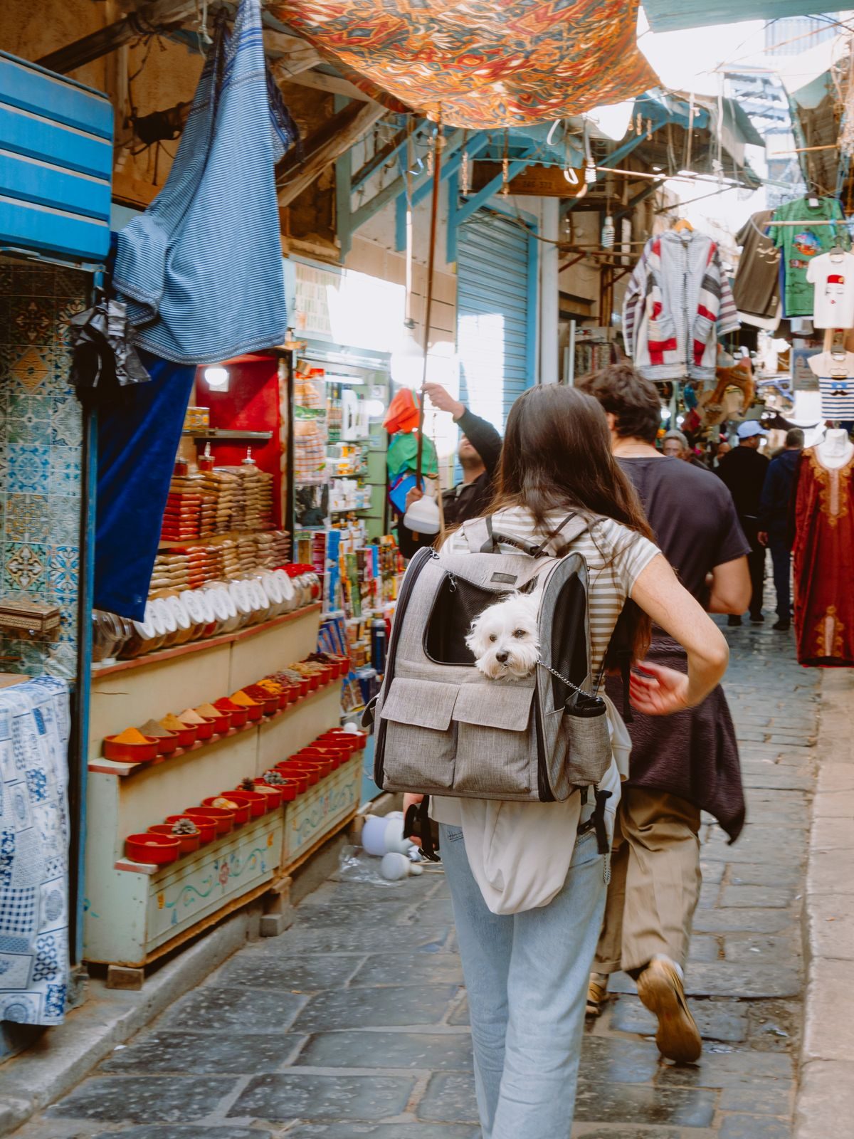 Pet in a backpack at a market.