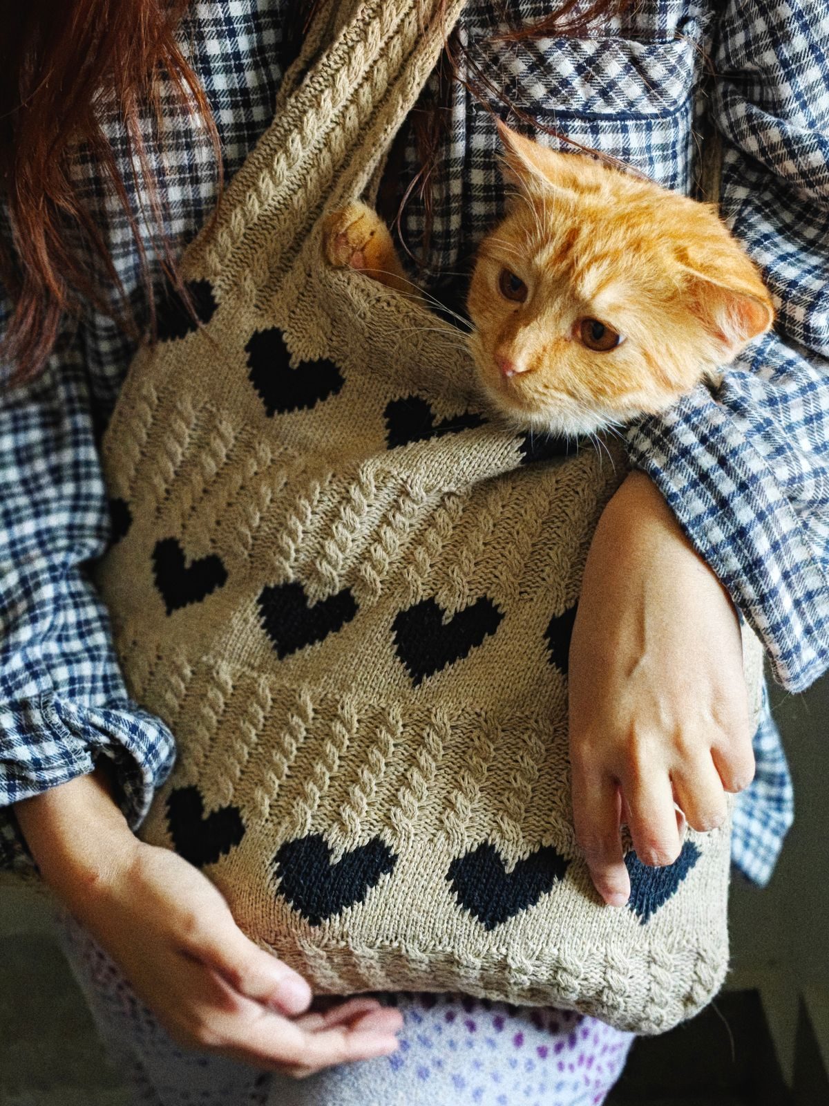 Ginger cat peeking from a travel bag.