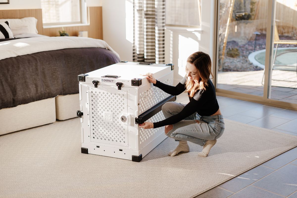Why My Fosters Chew Playpens, and the Setups That Survived Forty Animals