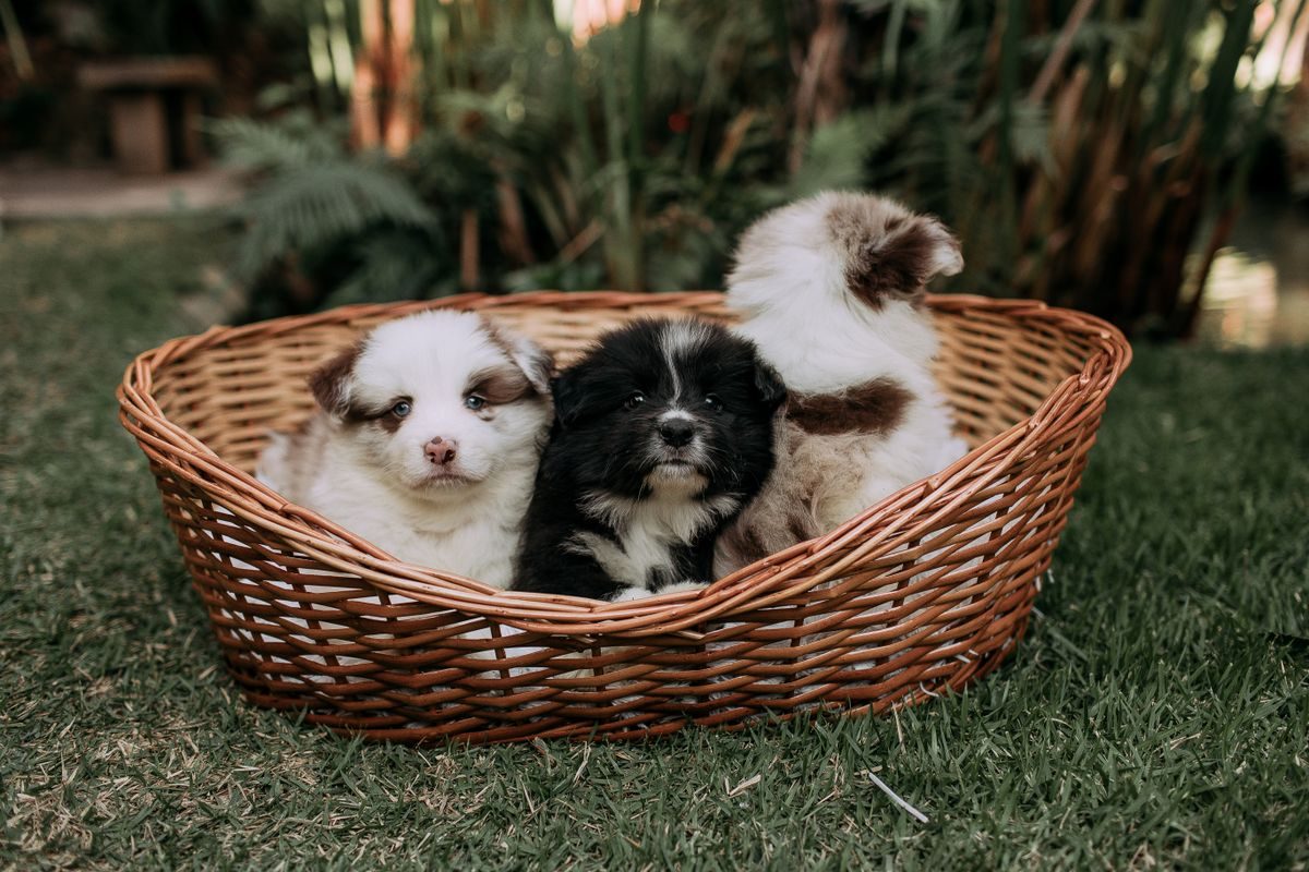 Living With a Playpen in a Small Flat
