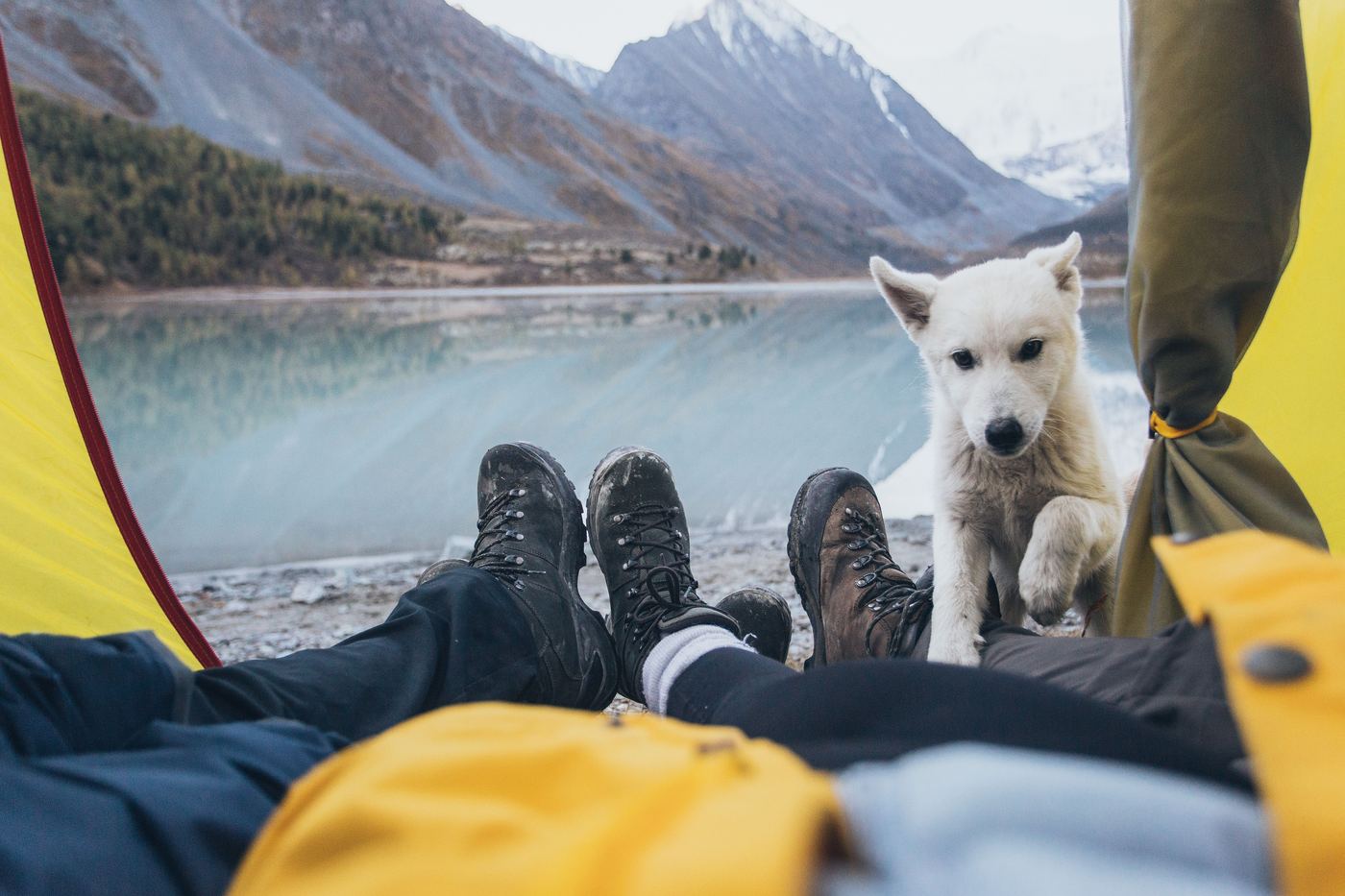 Waterproof & Breathable Pet Pens for Aussie Weather