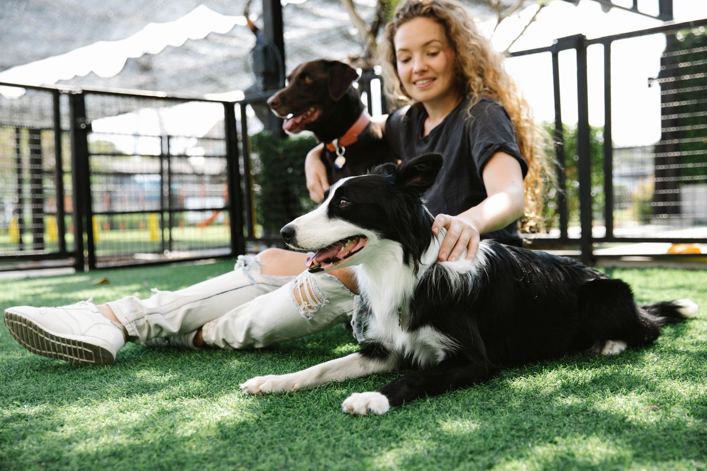 Where to Buy a Dog Playpen in Australia (Amazon, PETstock, Kmart)